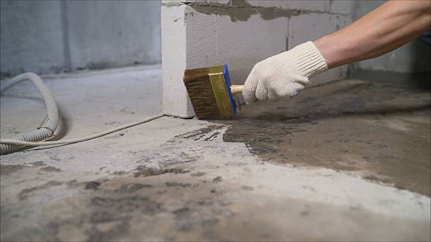 SJ Waterproofing Pros Basement Waterproofing coverage map for Burt, MI and surrounding area